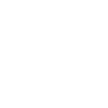 SPIN remote